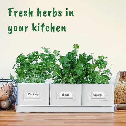 volila Herb Planter Indoor - Set of 3 Warmstone Indoor Herb Garden Pots for Plants with Leather Handled Tray - Window Sill Plant Shelf - Herb Pots with Drainage Holes and Labels - color: Warmstone