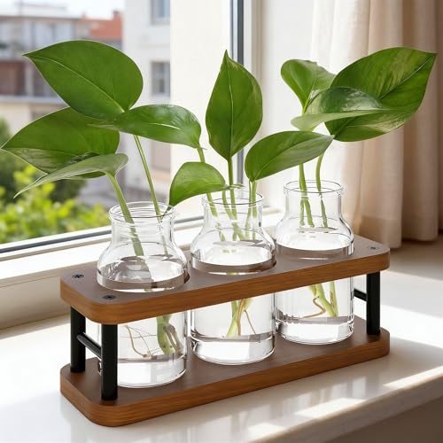 THYGIFTREE Plant Propagation Station with Wooden Stand, Propagation Vases Glass Planters for Indoor Plants Hydroponic Propagating Jars Home Office Decor, Brown - color: Brown – 3 Jar