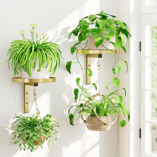 iDavosic.ly Plant Wall Hanger Holder Set of 2 for Indoor Outdoor, Gold | Metal Floating Flower Display Stand for Window with 2 Hooks, Space Saving, Easy to Assemble (Pots/Chains/Plants Not Included) - color: Gold, size: 2 Pack