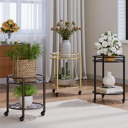 2 Tier Heavy Duty Rolling Plant Stand, 2 Pack Black | Indoor & Outdoor,150 lbs Capacity, Easy Move Cart, Balcony, Patio, Garden,Planter with Wheels - color: black