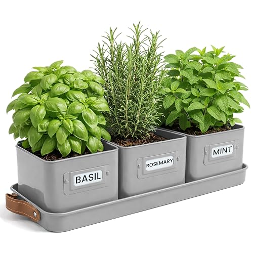 volila Herb Planter Indoor - Set of 3 Grey Indoor Herb Garden Pots for Plants with Leather Handled Tray - Window Sill Plant Shelf - Herb Pots with Drainage Holes and Labels - color: Charcoal Grey