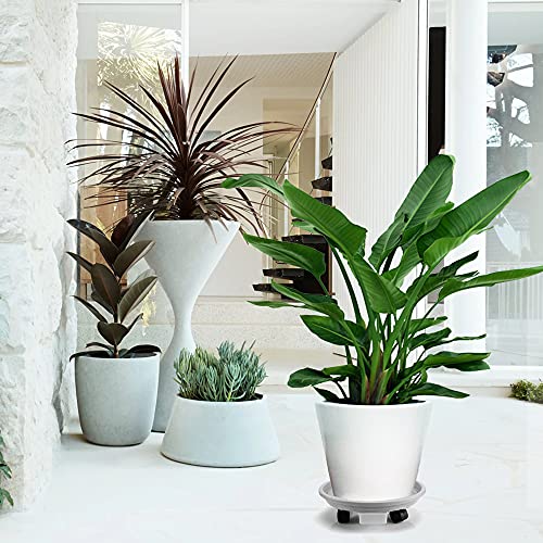 Looca Plant Caddy with Wheels and Drainage Tray, 13”Rolling Plant Stand Flower Pot Mover, Planter Caddies Round Plant Dolly for Heavy Duty Planter, 3 Pack, Bearing 120 lbs (Grey) - color: Gray