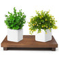 Wood Riser For Display Walnut Wood Pedestal Stand, farmhouse decor Soap Tray, Displays Your Plant Bottles Candles for Your Home Kitchen (Large, 12 x 7.1 x1.57Inch) - size: Large &12*7.1*1.57‘’