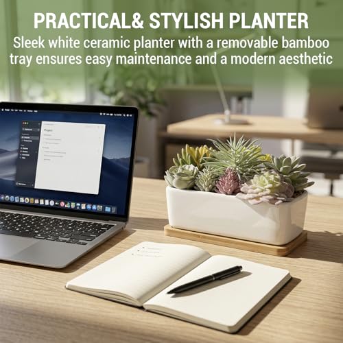 MyGift Assorted Artificial Succulent Plant Arrangement Potted in White Ceramic Planter Pot with Removable Bamboo Tray - color: White Ceramic & Bamboo