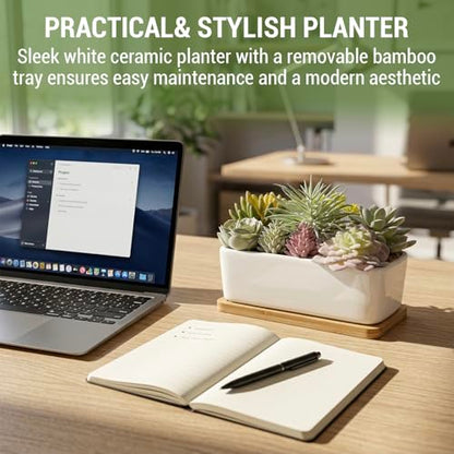 MyGift Assorted Artificial Succulent Plant Arrangement Potted in White Ceramic Planter Pot with Removable Bamboo Tray - color: White Ceramic & Bamboo