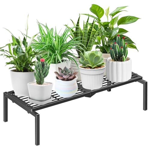 1 Tier Metal Plant Stand Indoor Outdoor, Potted Multiple Flower Pot Holder Rack Plant Shelf, Heavy Duty Planter Display Shelving for Patio Balcony Garden Living Room Decorative (Black) - color: 1 Tier-Black