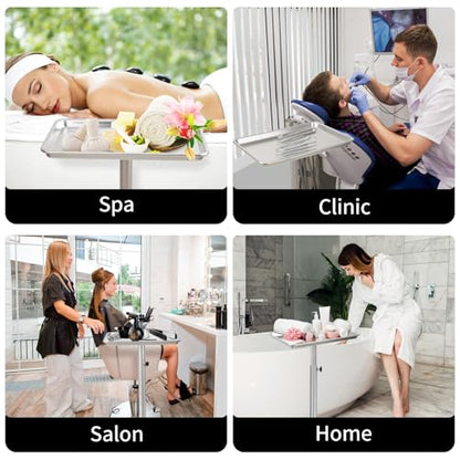 Salon Tray on Wheels, Salon Color Tray with Adjustable Height,Salon Rolling Tray Ideal Use As Metal Mayo Stand Tray,Tattoo Tray, Medical Tray, Dental Tray（Silver） - color: Silver