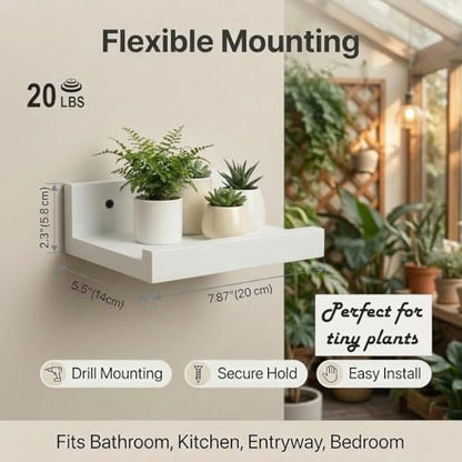 Z metnal Small Floating Shelves, Natural Wooden Display Wall Shelf for Picture Ledge, Nursery Floating Shelves, White, Wall Mounted, 8 x 5.5 inch, 2 Pcs - color: White, size: 8 Inch