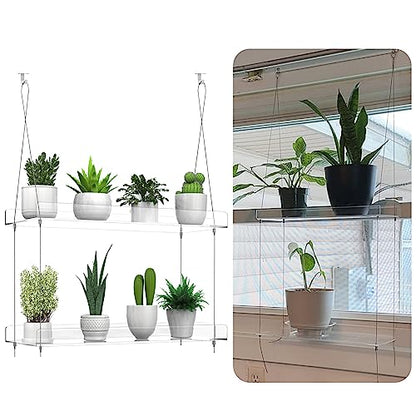 2-Tier Hanging Clear Plant Shelves for Windows,16 Inch per Tier | Acrylic Window Wall Plant Stand Shelf for Kitchen Indoor Gardens, Flower,Herb, Seedling Organization, and Pots Display. - size: 2 Tier