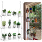 3-Tier Hanging Clear Plant Shelves for Windows, 16 Inch per Tier | Acrylic Window Wall Plant Stand Shelf for Kitchen Indoor Gardens, Flower, Herb, Seedling Organization, and Pots Display. - size: 3 Tier