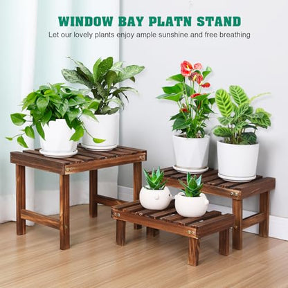 3 Tiered Small Plant Stands Shelf Indoor Outdoor Wood Flower Stand | Low Rectangle Plant Bench Holder Rack, Corner Step Ladder Shelves for Flower Pot Succulent Cactus Patio,Desktop,Window