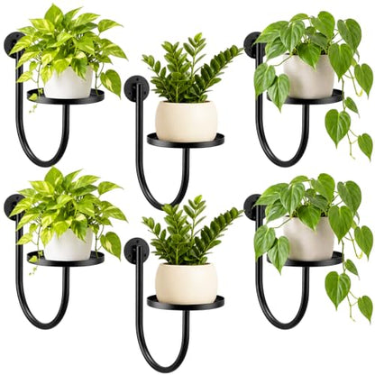 6 Pcs Hanging Planters for Indoor Plants Wall Plant Holder Indoor Wall-Mounted Planters Metal Decorative Shelf Space Saving for Windows Bedroom Living Room Kitchen Office Wall Decor
