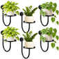 6 Pcs Hanging Planters for Indoor Plants Wall Plant Holder Indoor Wall-Mounted Planters Metal Decorative Shelf Space Saving for Windows Bedroom Living Room Kitchen Office Wall Decor