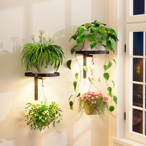 iDavosic.ly Plant Wall Hanger with Grow Lights Set of 2 for Indoor, Black | Metal Floating Flower Display Holder Stand for Window with 2 Hooks, Space Saving, Easy to Assemble (Pots/Chains Not Included) - color: Black with 2 Lights, size: 2 Pack