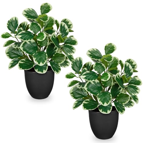 14.5" Artificial Plants Indoor Home Decor 2PCS Faux White Peperomia Plants | Silk Fake Potted Plants for Shelves Desks Living Room Office, Decorative Faux Potted Greenery Small Tropical House Plant - color: 2 Sets #Funny White Margin