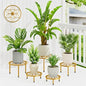 5 Pack Outdoors Plant Holders Gold Plant Risers Indoor(GoldDiamond) - color: GoldDiamond