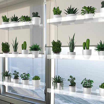 2-Pack 3-Tier Clear Acrylic Hanging Window Plant Shelves for Indoor Use | Wall-mounted plant shelves for herbs, seedlings, flowers and potted plants. Maximizes window space for indoor growing. - size: 2 Pack-3 Tier
