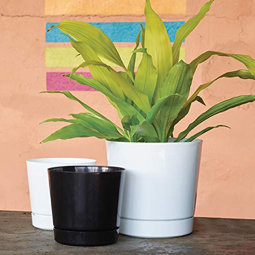 Novelty Majestic Full Depth Round Cylinder Pot, Glossy White, 8-Inch (10082) - color: White, size: 8 Inch