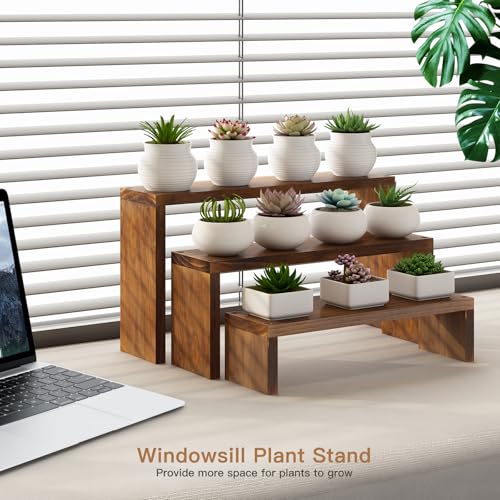 Plant Stand Shelf for Desk Window Sill Countertop Desktop Succulent Stand | 3 Tiers Small Wooden Tabletop Ladder Plant Shelves for Cupcake Stand Riser Kitchen Spice Rack Holder