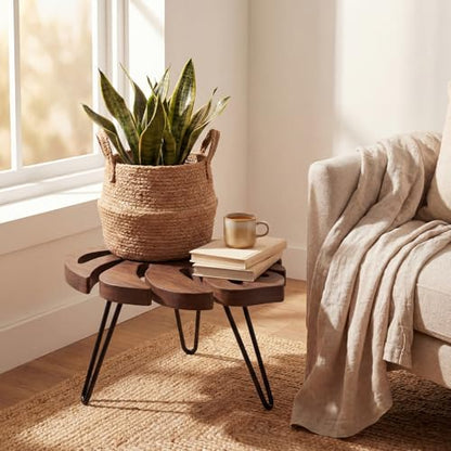 Novabright Monstera Leaf Short Plant Stand Small Wooden Plant Stool Stand Risers Pedestal Display Decorative for Flower Indoor Outdoor Rustic Farmhouse Table Balcony Home Office Bedroom Decor