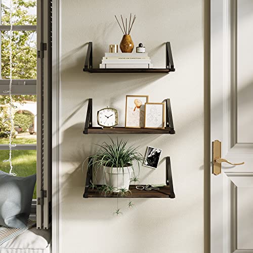 BAMEOS Floating Shelves Rustic Wood Wall Shelf, Small Bookshelf for Living Room, Office, Bedroom, with Metal Bracket - style: 3 pack Carbonized 16"W 8"D