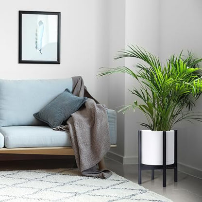 D'vine Dev Plastic Pot with Ebony Wood Stand, White, 10 in, 55-C-N-1 | Mid-Century Inspired Design, Elevated Plant Display, Clean Lines, Sturdy Support, Modern Space-Saving Style - color: Matte White Pot + Ebony Stand, size: 10 Inch