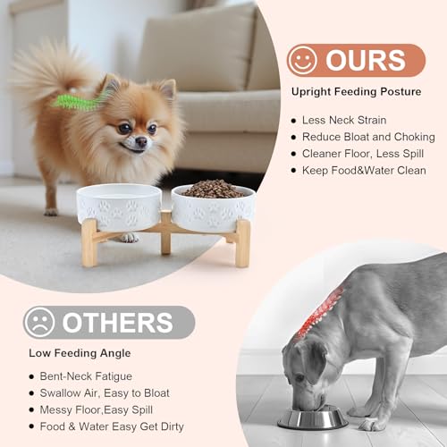 SPUNKYJUNKY Elevated Dog Bowls Ceramic, 5.1'' Dogs and Cat Food Water Bowls Raised with Non-Slip Bamboo Stand for Puppy Small Sized Breed Microwave Dishwasher Safe - 13.5 OZ,Paw White - color: Paw White, size: 5.1 in - 1.7 cups
