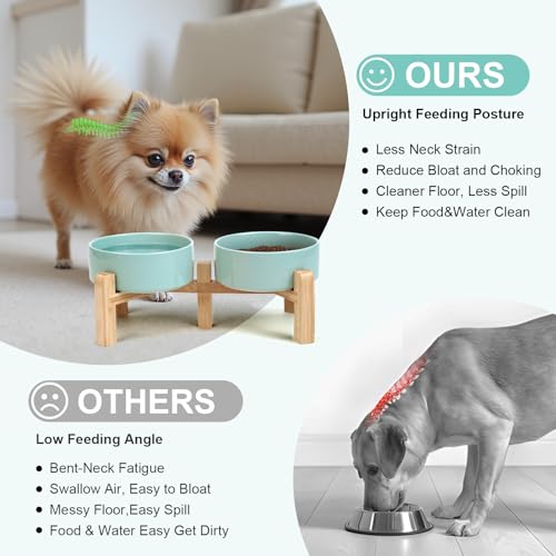 SPUNKYJUNKY Elevated Dog Bowls Ceramic, 5.1'' Dogs and Cat Food Water Bowls Raised with Non-Slip Bamboo Stand for Puppy Small Sized Breed Microwave Dishwasher Safe - 13.5 OZ,Light Green - color: Light Green, size: 5.1 in - 1.7 cups