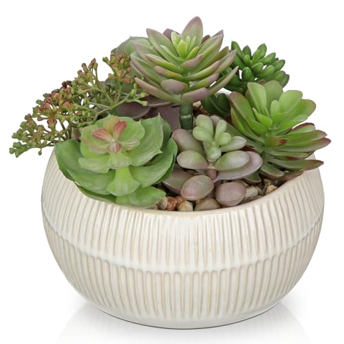 DILATATA Artificial Succulent Plants in Pot 5.5 Inch Fake Succulents Arrangement Potted Plant in White Ceramic Planter Bowl for Home Office Desk Shelf Living Room Bedroom Bathroom Decor - color: White Ceramic#style 3