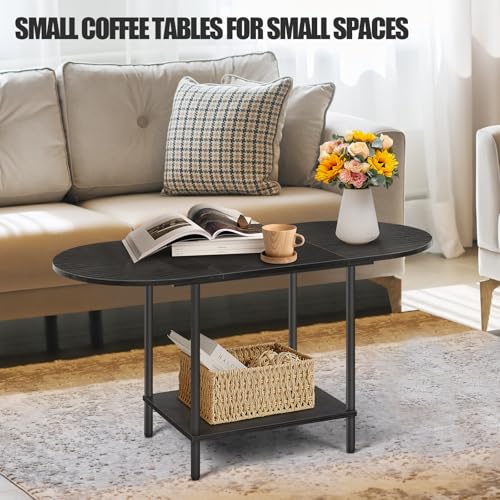 Black Coffee Tables for Living Room,Mid Century Oval Small Center Table with Storage Shelf and Wood Tabletop,2-Tier Farmhouse Low Cocktail Tea Table for Small Space,Apartment - color: Black
