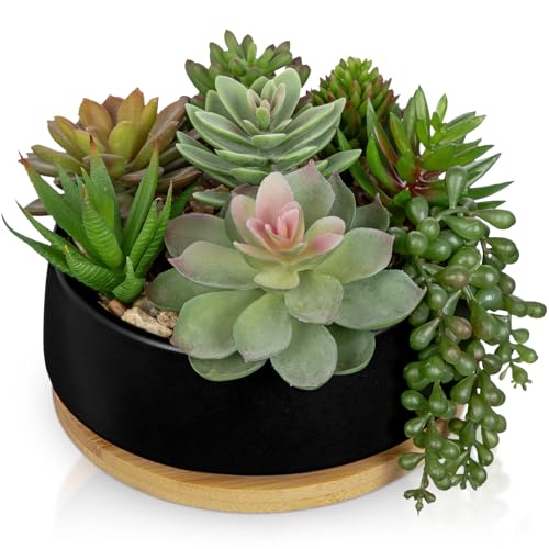 Artificial Succulent Plants in Pot 5.5 Inch Fake Succulents Arrangement Potted Plant in Black Ceramic Planter Bowl with Wood Saucer for Home Office Desk Shelf Living Room Bedroom Bathroom Decor - color: Black Ceramic With Saucer#style 2