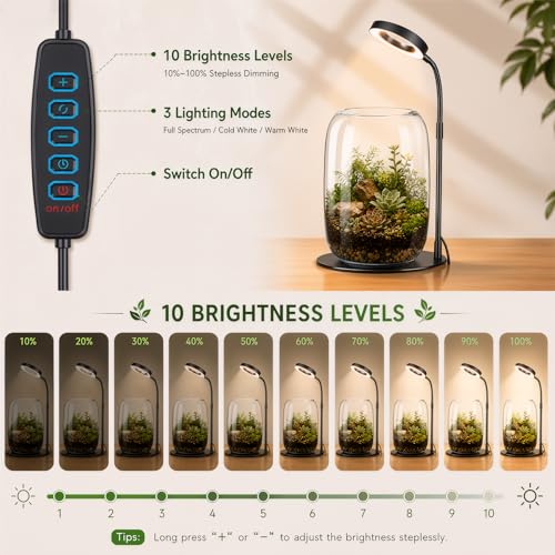 7X Aperture Grow Light for Indoor Plants, Full Spectrum Mini Desk Plant Light with Glass Terrarium, Height Adjustable LED Grow Lamp for Succulents, Moss & Home Office Gift - size: 7X