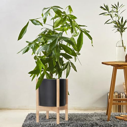 D'vine Dev Plastic Pot with Natural Wood Stand, Black, 10 in, 55-C-M-2 | Mid-Century Inspired Design, Elevated Plant Display, Clean Lines, Sturdy Support, Modern Space-Saving Style - color: Matte Black Pot + Natural Stand, size: 10 Inch
