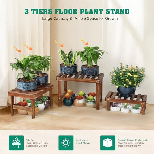 3 Tiered Small Plant Stands Shelf Indoor Outdoor Wood Flower Stand | Low Rectangle Plant Bench Holder Rack, Corner Step Ladder Shelves for Flower Pot Succulent Cactus Patio,Desktop,Window