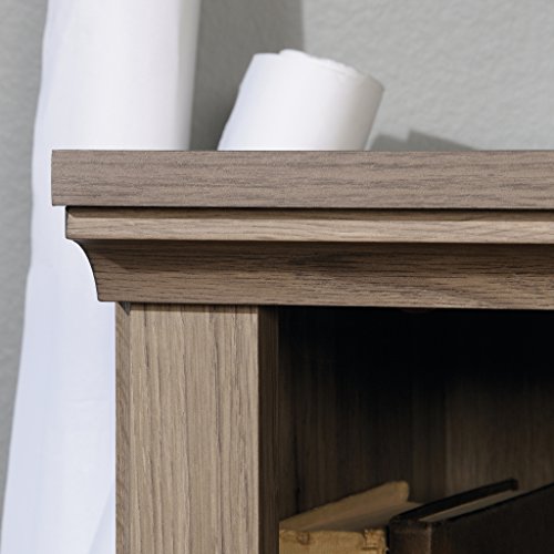 Sauder 2 Tier Book Shelf Wooden Bookcase Multipurpose Bookshelf for Home Office, Living Room, in Salt Oak - color: Salt Oak Finish