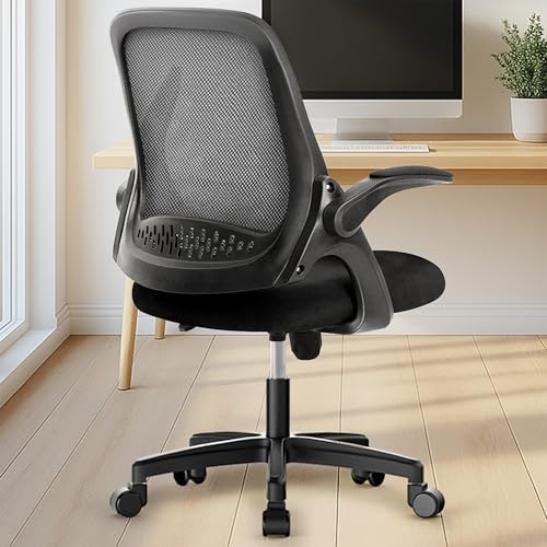 NEO CHAIR Office Desk Chair Computer Gaming Ergonomic Lumbar Back Support with Flip-up Padded Armrest Adjustable Height and Wheels for Home Vanity Bedroom Study (All Black) - color: All Black