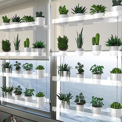 2-Pack Hanging Clear Plant Shelves for Windows, 16 Inch per Tier | Acrylic Window Wall Plant Stand Shelf for Kitchen Indoor Gardens, Flower, Herb, Seedling Organization, and Pots Display. - size: 2 Pack-4 Tier
