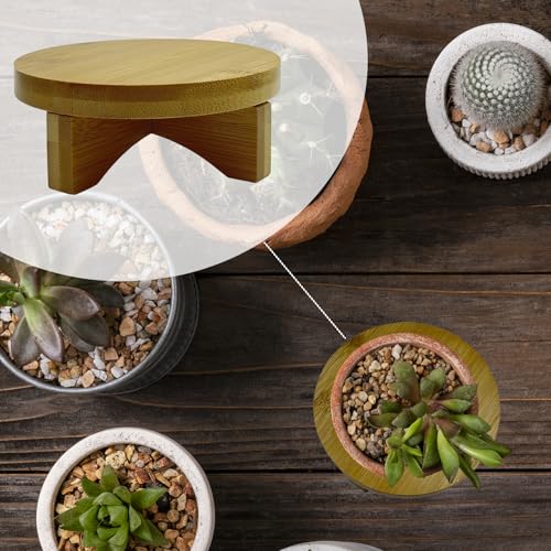 Short Round Wooden Plant Stand Indoor Desktop Flower Pedestal Stand Wood Decor Risers for Small Plants Display(4.5 Inch)