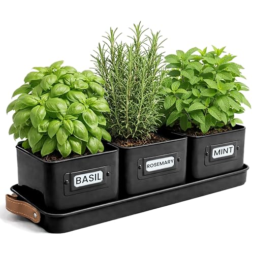 volila Herb Planter Indoor - Set of 3 Black Indoor Herb Garden Pots for Plants with Leather Handled Tray - Window Sill Plant Shelf - Herb Pots with Drainage Holes and Labels - color: Black