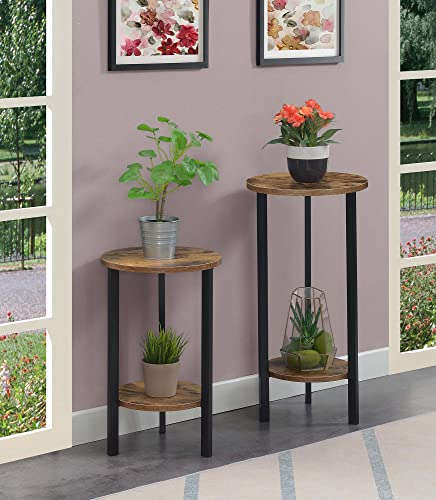 Convenience Concepts Graystone 2 Tier Tall Plant Stand 31" - Industrial Stand for Plants, Vases, and Antiques, Urban Modern Design for the Living Room, Hallway, Entryway, Barnwood/Black - color: Barnwood/Black