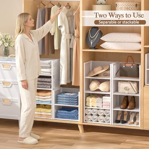 2-Tier Stackable Closet Organizers and Storage Basket, Wire Clothes Shelf Organizer Bins, Sweater Storage for Wardrobe Cupboard, Multifunctional Cube Storage Box for Kitchen Bath Laundry Room, White