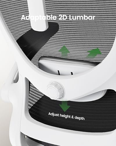 Marsail Ergonomic Office Chair: Office Desk Chair with High Back Mesh and Adjustable Lumbar Support Rolling Work Swivel Task Chairs with Wheel 3D Armrests and Headrest - color: Black & White