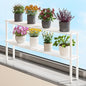 Expandable Window Shelf for Plants Kitchen Sink Organizer Stackable Narrow Shelves Kitchen Countertop Holder Mesh Design (2, White)