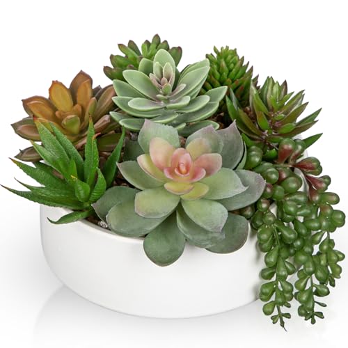 DILATATA Artificial Succulent Plants in Pot 5.5 Inch Fake Succulents Arrangement Potted Plant in White Ceramic Planter Bowl for Home Office Desk Shelf Living Room Bedroom Bathroom Decor - color: White Ceramic#style 2