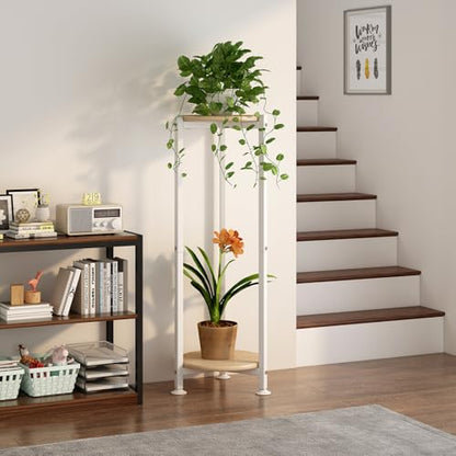 Plant Stand Indoor Corner Tall 2 Tier Metal Modern Flower Storage Plant Shelf Holder for Living Room Balcony Garden,White (2 Tier-White Round)