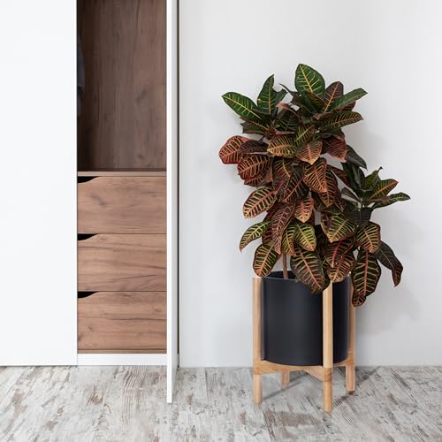 D'vine Dev Plastic Pot with Natural Wood Stand, Black, 12 in, 55-C-P-2 | Mid-Century Inspired Design, Elevated Plant Display, Clean Lines, Sturdy Support, Modern Space-Saving Style - color: Matte Black Pot + Natural Stand, size: 12 Inch
