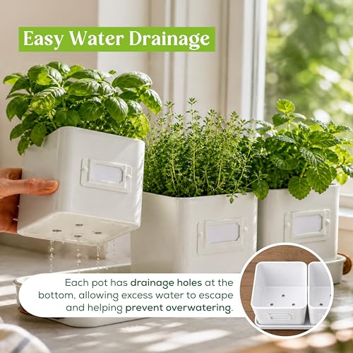 volila Herb Planter Indoor - Set of 3 Warmstone Indoor Herb Garden Pots for Plants with Leather Handled Tray - Window Sill Plant Shelf - Herb Pots with Drainage Holes and Labels - color: Warmstone