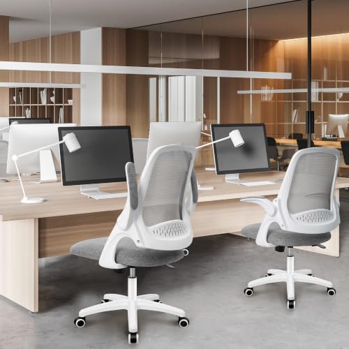 NEO CHAIR Office Desk Gaming Ergonomic Computer Chair with Lumbar Back Support Adjustable Height Swivel Rolling Wheels Flip-up Arms Mesh Chair for Home Vanity (Grey) - color: Grey