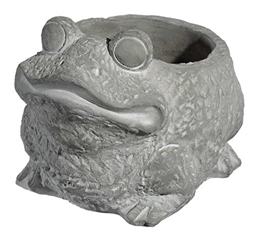 GROWSCAPE Cement Buddies Animal Planter - Cute Desk Decoration - UV Coated Animal Vase w/Removable Drain Plug - Succulent Planter for Indoor/Outdoor Use (Frog Planter, Natural, Large) - color: Natural, size: Large, style: Frog
