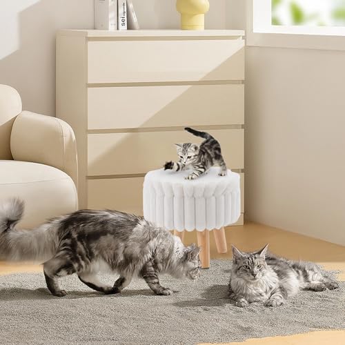 Wimarsbon Storage Ottoman, Modern Round Footrest with Soft Padded Seat, Teddy Velvet Footstool with Wood Legs, Accent Small Table or Plant Stand for Hallway, Living Room (White) - color: White